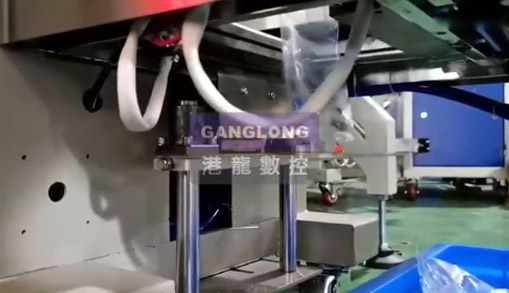 全自動(dòng)計(jì)數(shù)式包裝設(shè)備